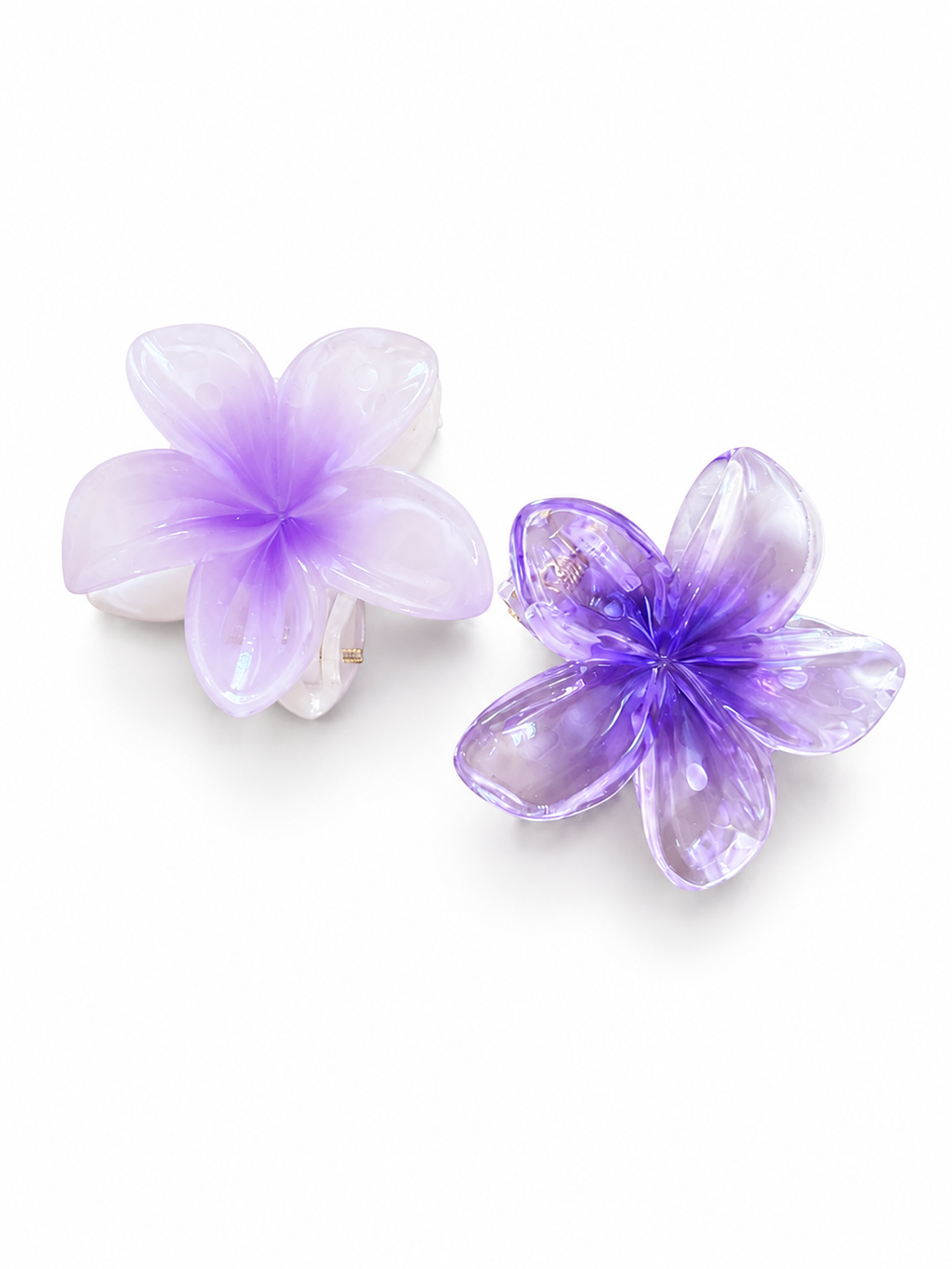Daisy Purple Box 💜